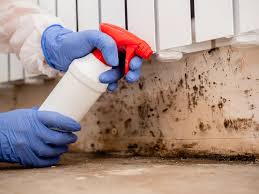  Blue Rapids, KS Mold Remediation Pros